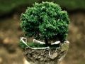 Laro Environment Jigsaw online
