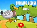 Laro Duckling Rescue Series 2  online