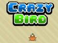 Laro Crazy Bird online