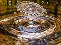 Laro Water splashing jigsaw online