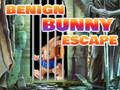 Laro Benign Bunny Escape online
