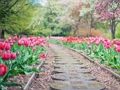 Laro Pathway Jigsaw online