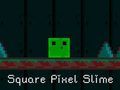 Laro Square Pixel Slime online