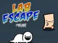 Laro Lab Escape Online online