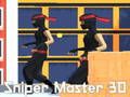 Laro Sniper Master 3d online