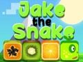 Laro Jake Ang Ahas  online