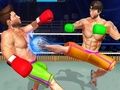 Laro Bodybuilder ring fighting club wrestling online