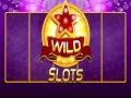 Laro Ligaw na puwang online