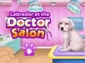 Laro Labrador sa salon ng doktor  online
