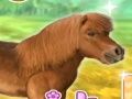 Laro Mahal kong Pony  online