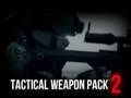 Laro Tactical Weapon Pack 2 online