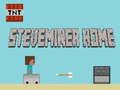Laro Home Steveminer online