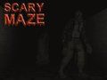 Laro Nakakatakot na maze  online