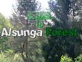 Laro Bumalik sa Alsunga Forest  online