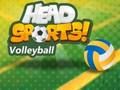 Laro Head sports volleyball online