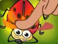 Laro Insekto Cush  online