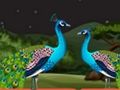 Laro Mag-asawang Parrot Escape  online