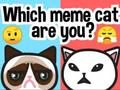 Laro Aling Meme Cat ka?  online