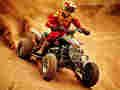 Laro Offroad ATV puzzle online