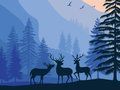 Laro Landscape Paradise Nakatago  online