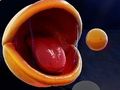 Laro Pac-Man 3d online