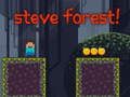 Laro Steve Forest online