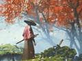 Laro Samurai reflexion online