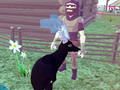 Laro Deer Simulator 3d online