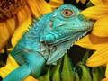 Laro Ultimate Puzzle Hayop 6  online