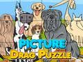 Laro Larawan drag puzzle online