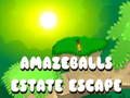 Laro Pagtakas ng Amazeballs Estate  online