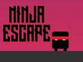 Laro Pagtakas ng ninja  online