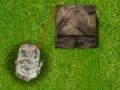 Laro Ultimate assault  online