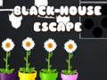 Laro Tumakas ang Black House online