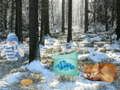 Laro Pakikipagsapalaran sa Winter Wonderland Forest  online
