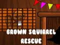 Laro Brown Squirrel Rescue online