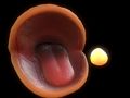 Laro Pac-Man online