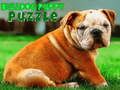 Laro Bulldog puppy puzzle online