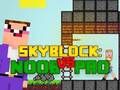 Laro Noob vs Pro Skyblock online