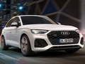 Laro Audi SQ5 TDI Slide online