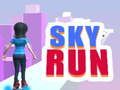 Laro Sky Run online