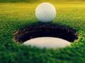Laro Golf Masters! online