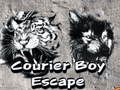 Laro Tumakas ang Courier Boy online