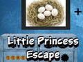 Laro Tumakas ang Little Princess online