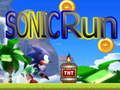 Laro Sonic Run online