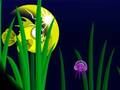 Laro Flash Fish Freddie online