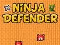 Laro Defender ng Ninja online