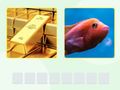 Laro Picword online