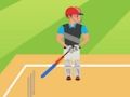 Laro Cricket 2d online