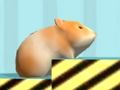 Laro Hamster Para kumpirmahin  online